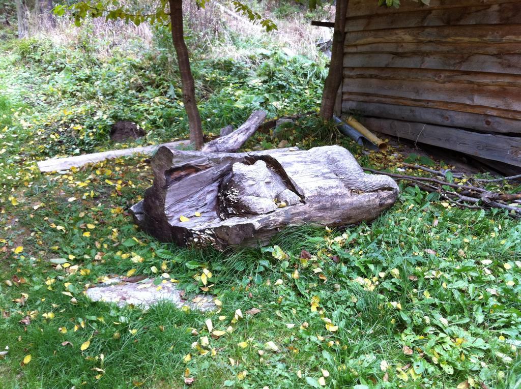 Chata Devena Valča Cameră foto